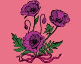 Coloring page Some poppies painted byAnnette