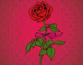 Coloring page A rose painted byCharlotte