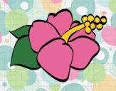 Coloring page Lagunaria flower painted byCharlotte