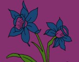 Coloring page Orchid painted byCharlotte