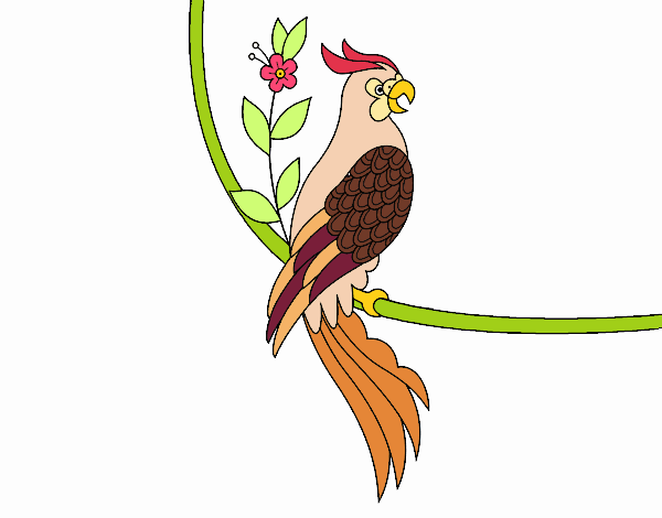 Parrot tattoo