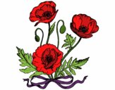Coloring page Some poppies painted bysmaxwell