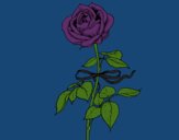 Coloring page A rose painted byCharlotte