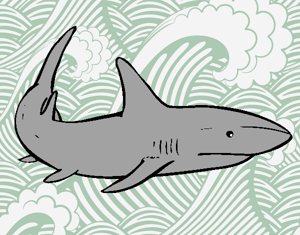 Coloring page A shark swimming painted bySearlait