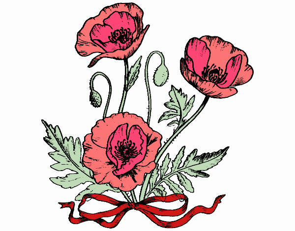 Coloring page Some poppies painted byCaryAnn