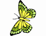 Coloring page Butterfly 10 painted byGracesGran