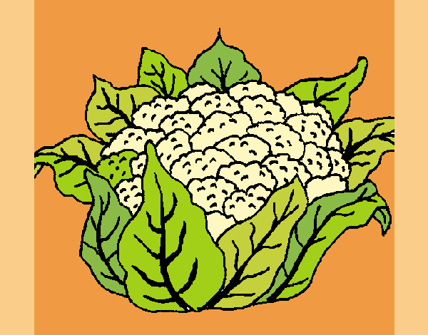 Coloring page cauliflower painted byKArenLee
