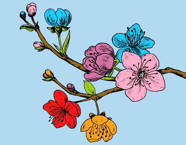 Coloring page Cherry-tree branch painted byKArenLee
