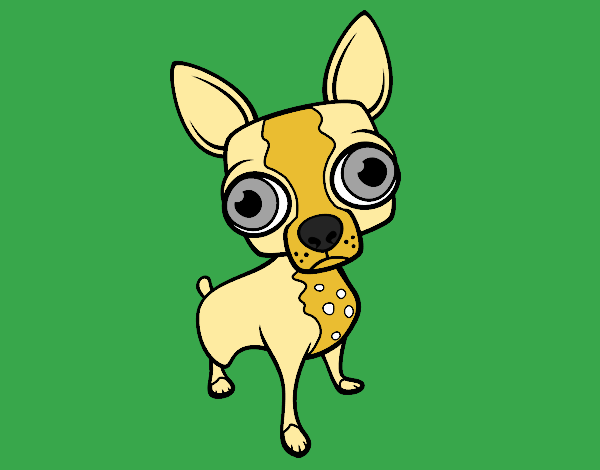 Coloring page Chihuahua painted byKArenLee