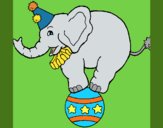 Coloring page Elephant balancing on a ball painted byKArenLee