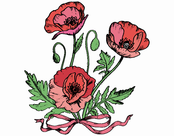 Coloring page Some poppies painted byCaryAnn