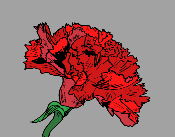 Coloring page Carnation flower painted byneidamac