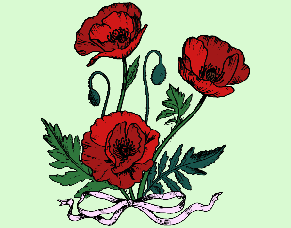 Coloring page Some poppies painted byneidamac