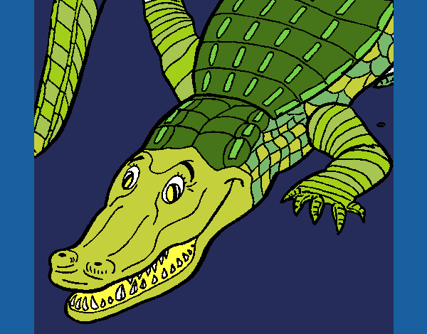 Coloring page Crocodile painted byKArenLee