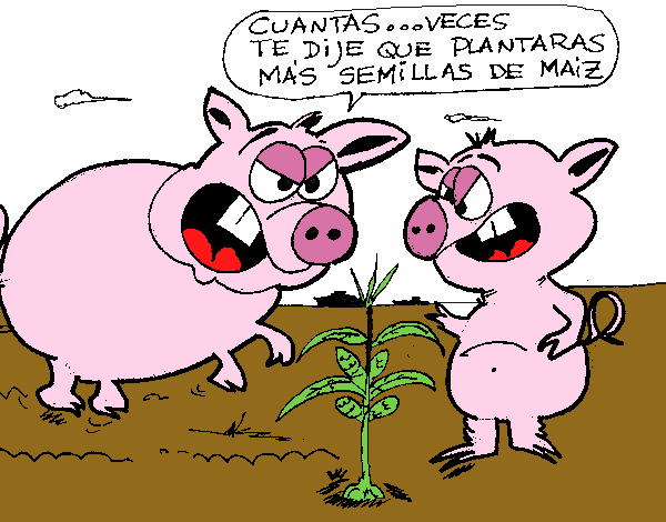 Pigs Issues