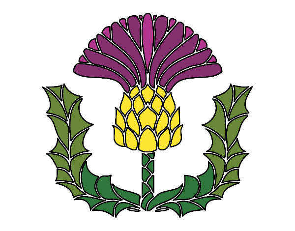 Coloring page Thistle painted byJennifer 