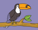 Coloring page A toucan painted byKArenLee