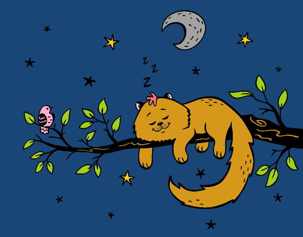 in night light cat is slepping in the tree