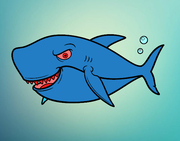 sphere tooth shark 