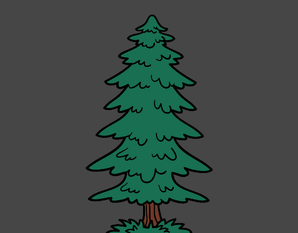 Coloring page A fir painted byGreyWolf