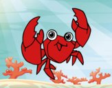A velvet crab