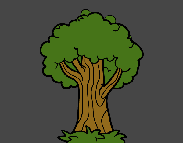 Coloring page An oak painted byGreyWolf