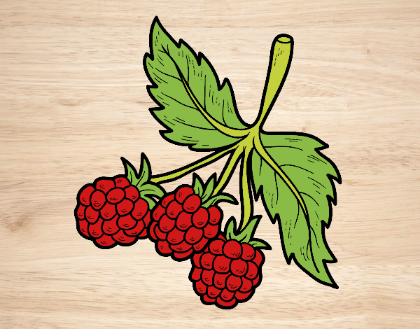 Coloring page Branch of raspberries painted bybarbie_kil