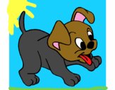Coloring page Puppy painted byamilia