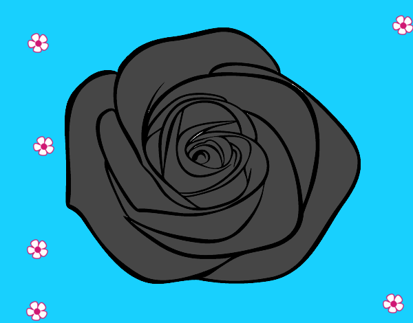 Coloring page Rose flower painted bytammiequin