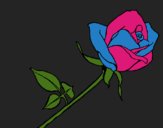 Coloring page Rose painted bymelissa