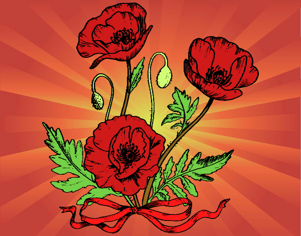 Coloring page Some poppies painted byDija