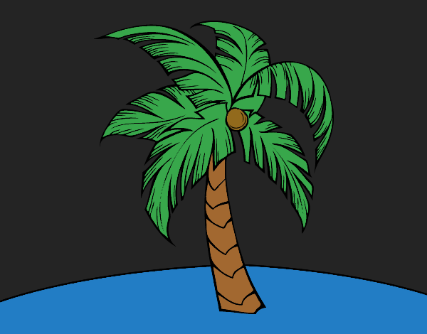 Coloring page A palm tree painted byCharlotte