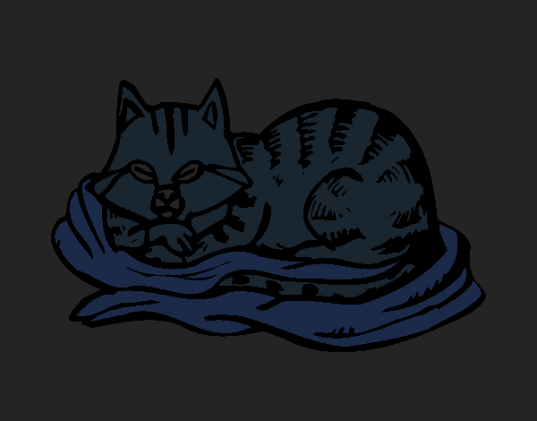 Coloring page Cat in bed painted byCharlotte