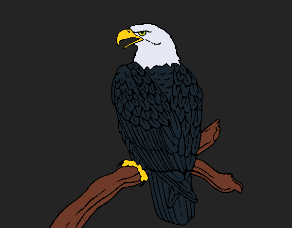 Coloring page Eagle on branch painted byCharlotte