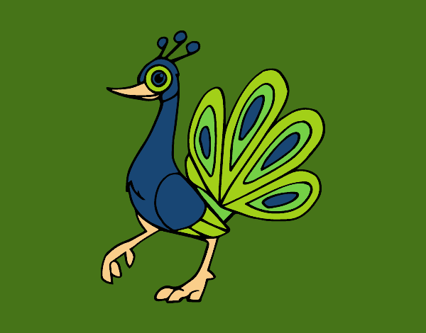 Coloring page Indian peafowl painted byCharlotte