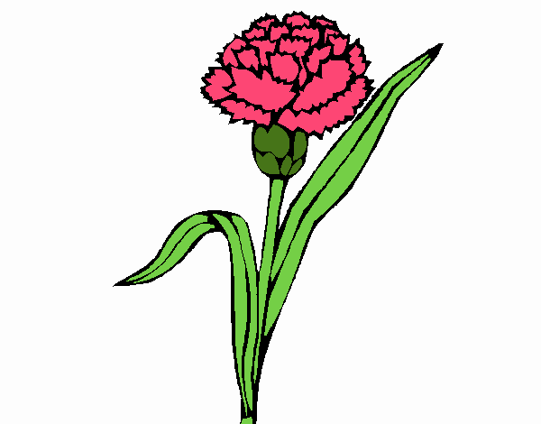 Coloring page Carnation painted byBell