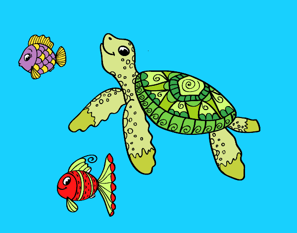 Sea turtle with fish
