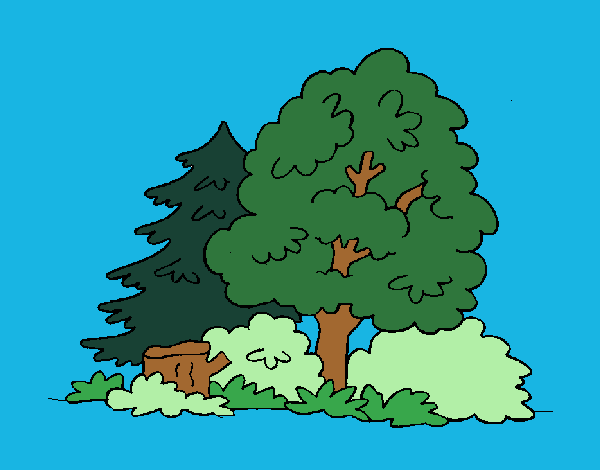 Coloring page Forest painted byBumblebee