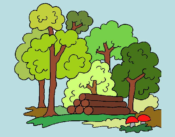 Coloring page Forest painted byGeorgi 