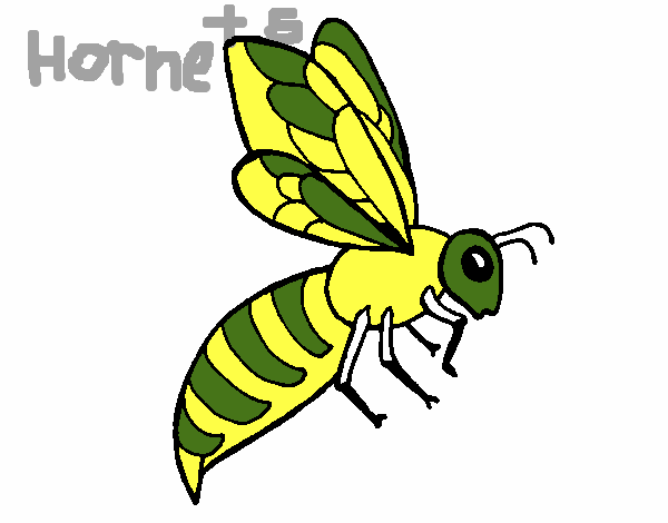 Coloring page Bee painted byLoueding
