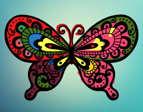 Pritty butterfly