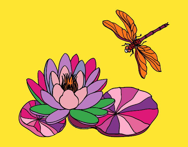 Coloring page Lotus flower painted bymindella