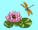 Coloring page Lotus flower painted bykknaster