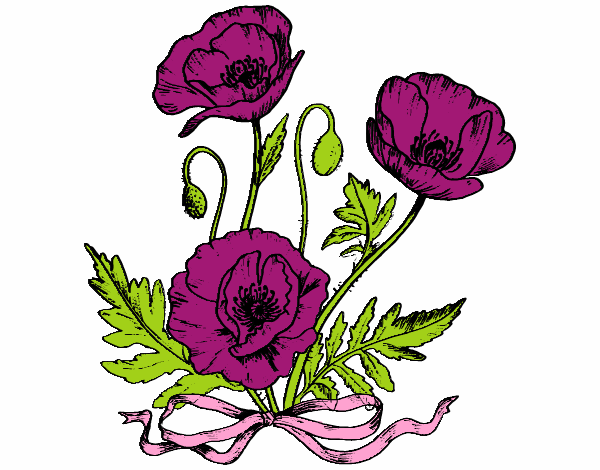 Coloring page Some poppies painted byAnia