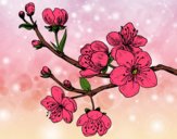 Coloring page Cherry-tree branch painted bySarahAlex