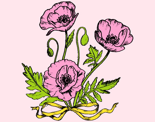 Coloring page Some poppies painted byAnia