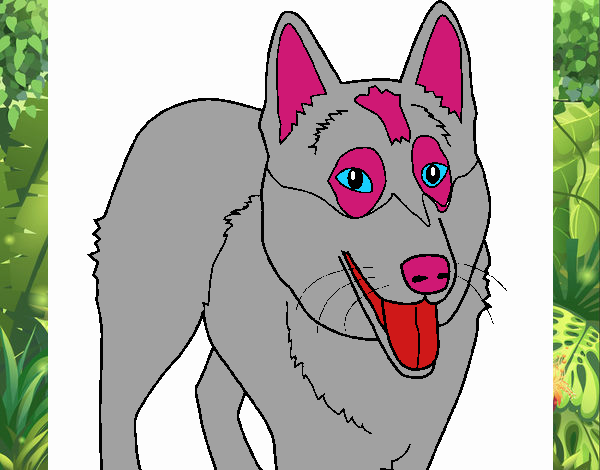 Coloring page Alsatian dog painted byGramanana4