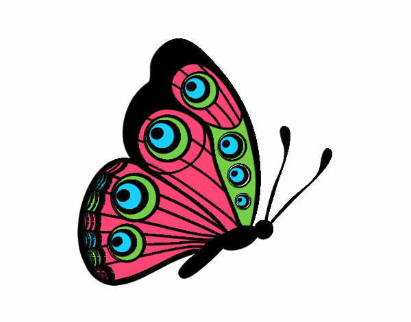 Coloring page Butterfly right painted byGramanana4
