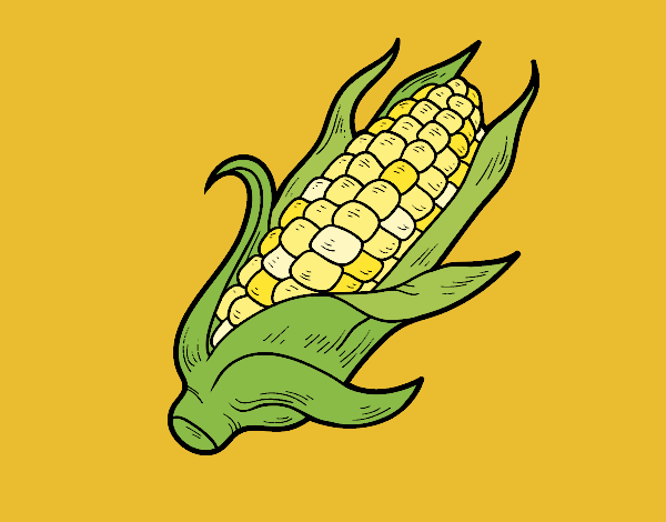 Coloring page A corncob painted byJijicream