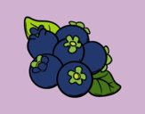 Coloring page Blueberries painted byJijicream